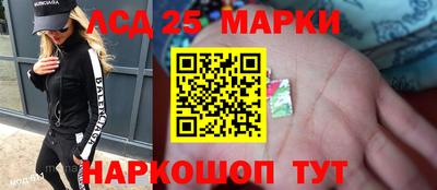 сатива Новозыбков