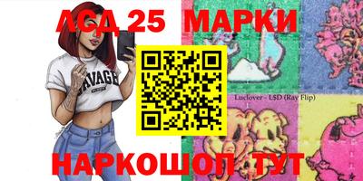 гидропоника Новокубанск