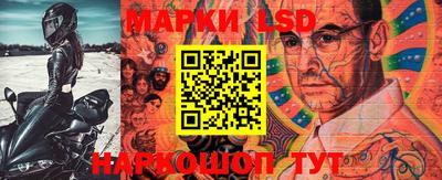 сатива Новозыбков