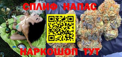 сатива Новозыбков