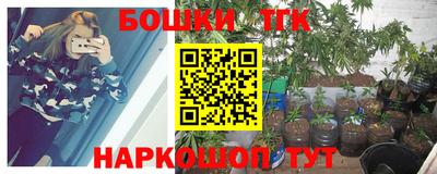 сатива Новозыбков