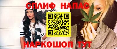 сатива Новозыбков